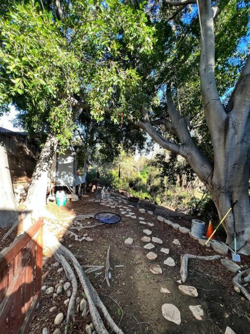 Central San Diego Lower Duplex, Huge Yard, Fenced Exterior foto